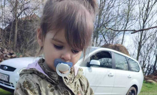 Апелациони суд у Нишу одлучује о жалби у случају убиства Данке Илић