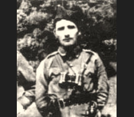 радивоје косорић
