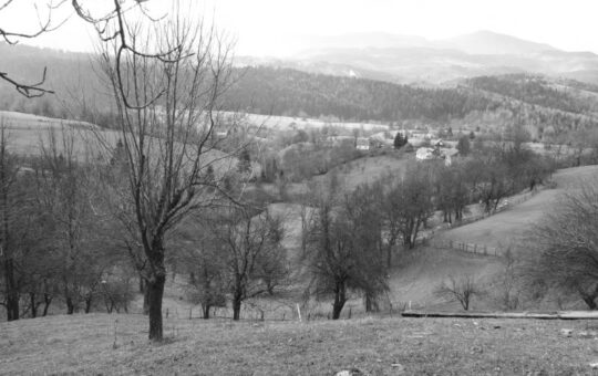 Zaseok-Polje