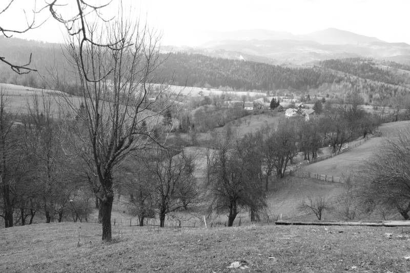 Zaseok-Polje