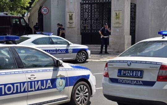 српска полиција