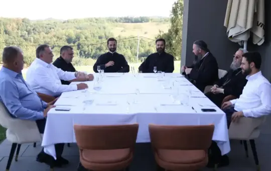 Додик Владике