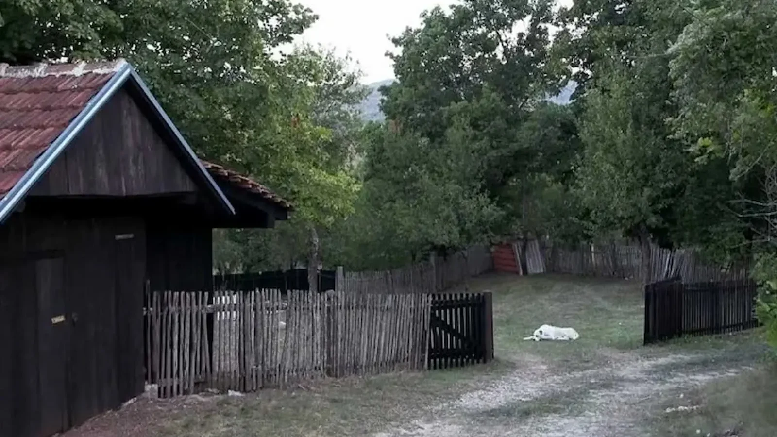 Очијево