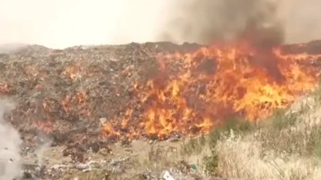 Пожар код Лесковца