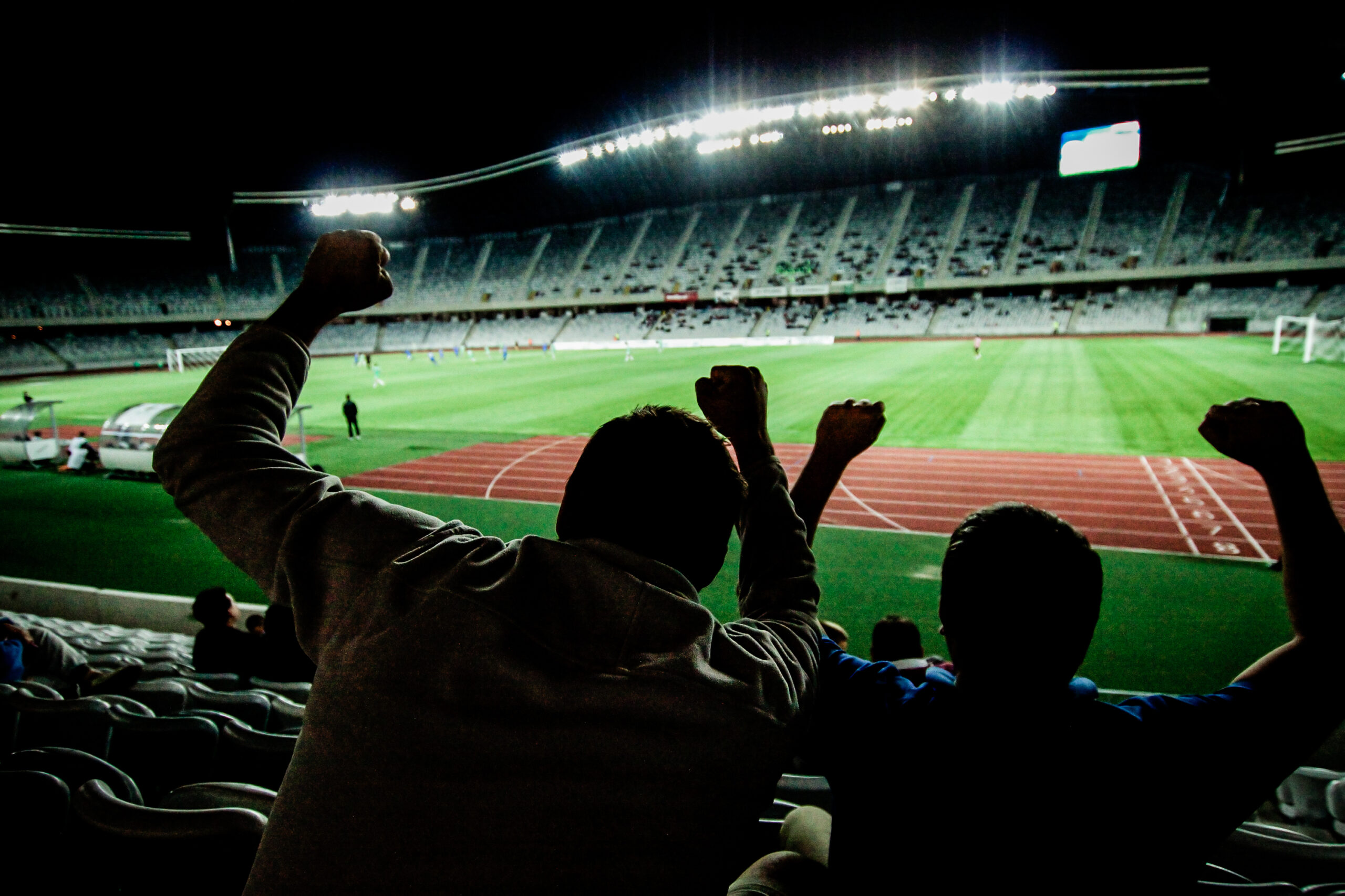 supporters at a game in a atadium