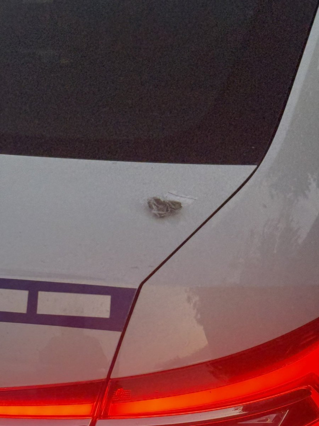 (фото:МУП Србије)