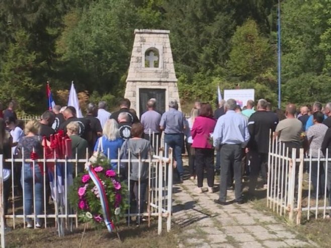 фоча папратна њива