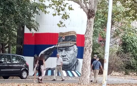 Мурал Ратку Младићу