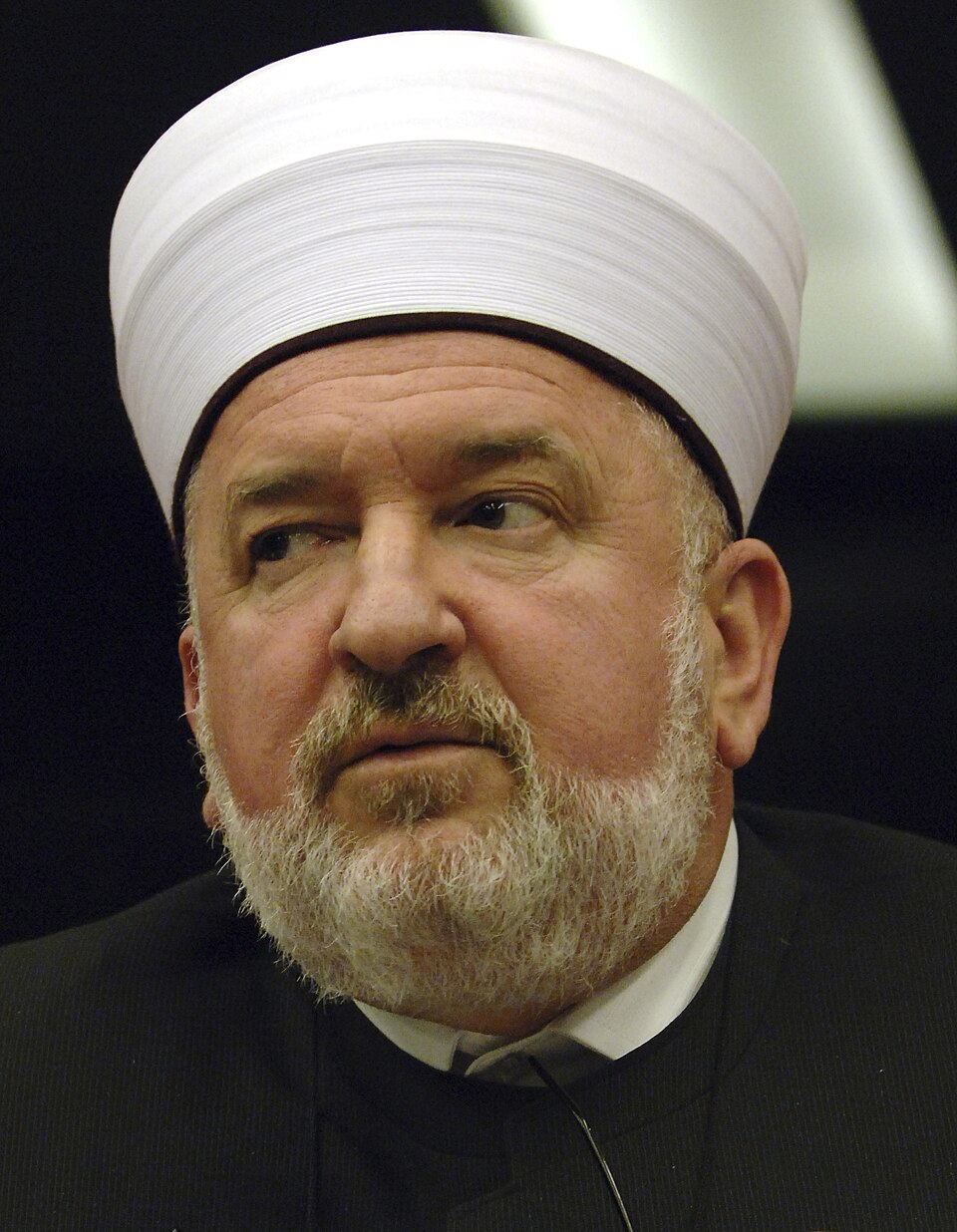 Meeting with the Head of the Islamic Community in Bosnia.