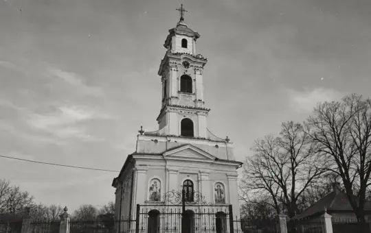 Петровчић
