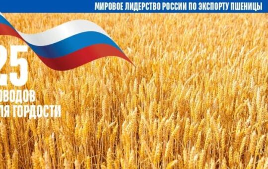 Россия главный экспортёр пшеницы