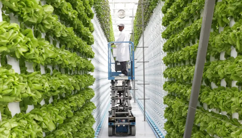 vertical-farming