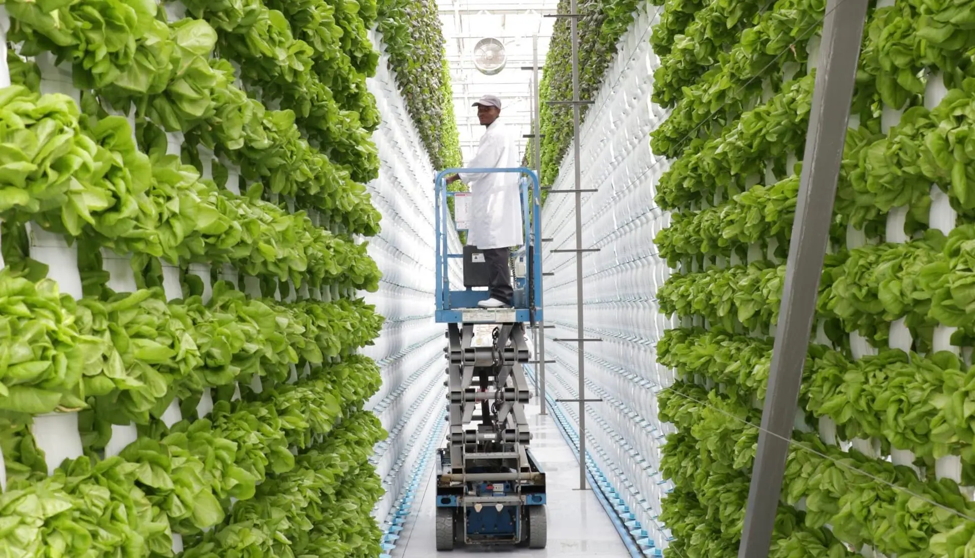 vertical-farming